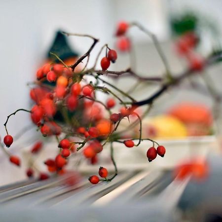 Hygge Apartment ザグレブ エクステリア 写真